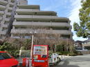 ペット可分譲マンション