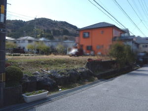 ̒Vj[^Eyn