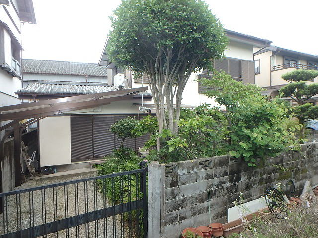 ms蒬yn