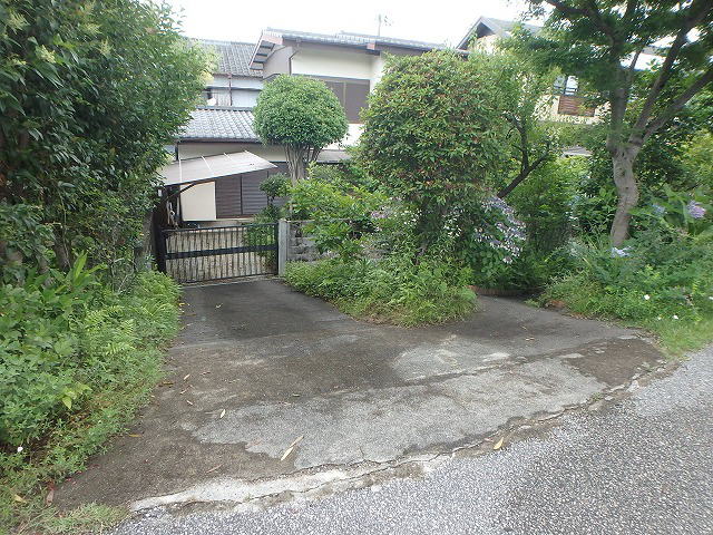 ms蒬yn