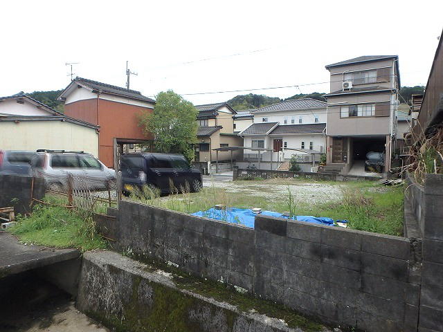 msYyn